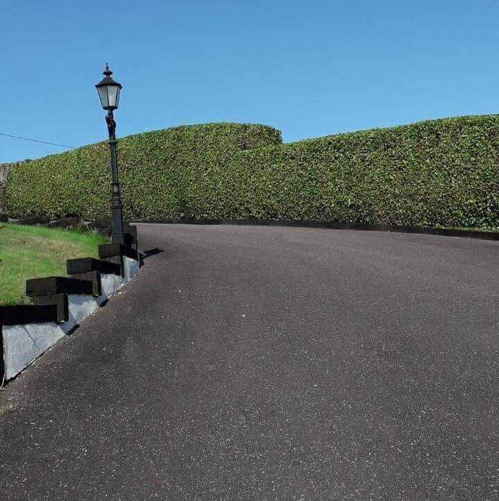 Hedge cut and stepped by West Cork Garden Maintenance